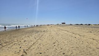GC-Playa El Veril (Playa del Ingles) 2025-25.jpg